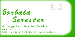 borbala serester business card